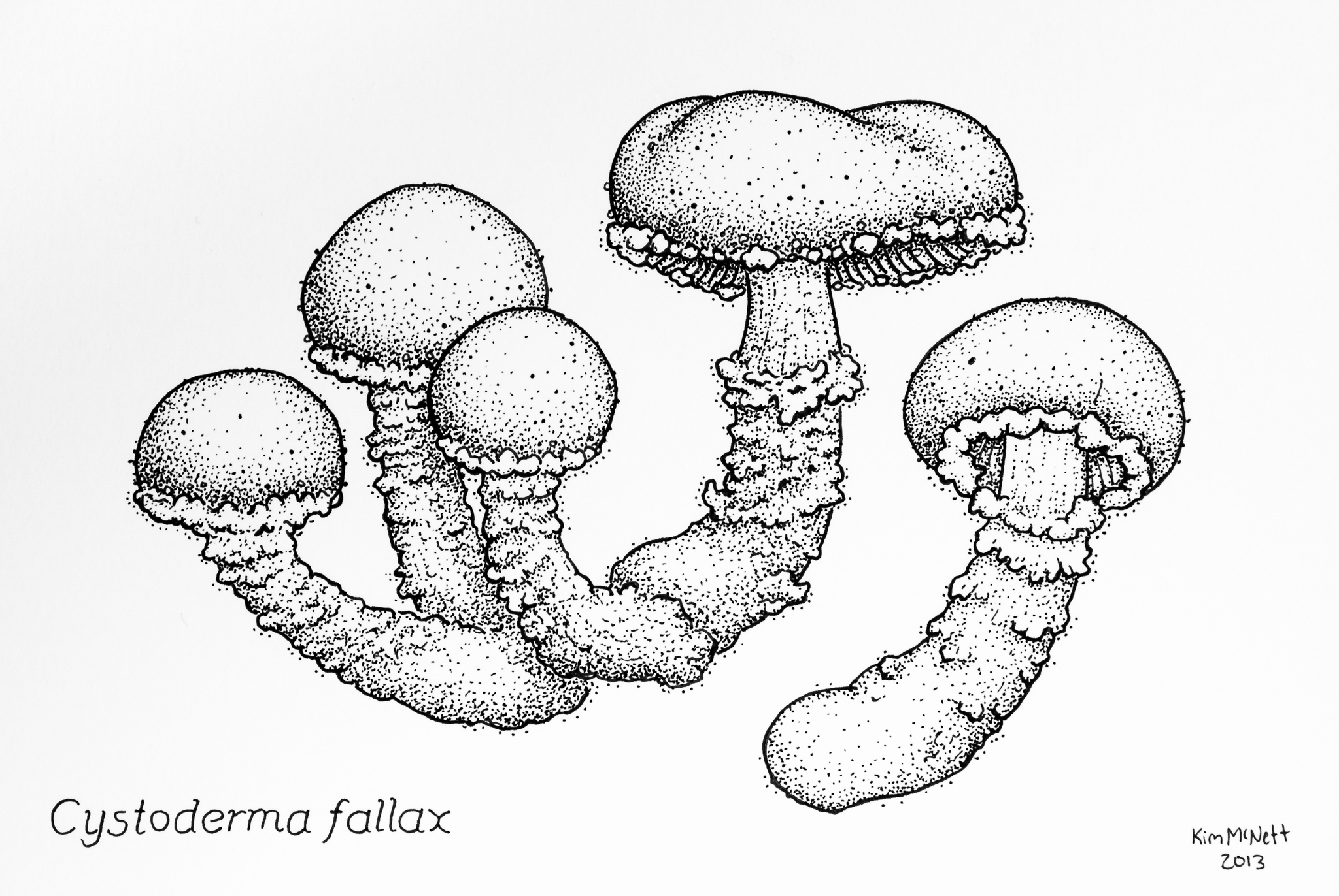 drawing:plcxcsjeqpq= mushroom